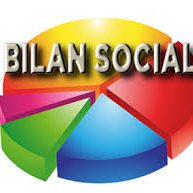 Bilan Social